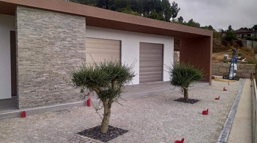 tarouca3